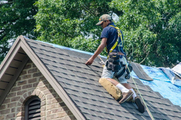 Best Flat Roof Repair Services  in Kalispell, MT